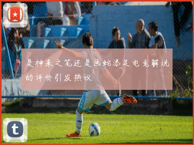 是神来之笔还是画蛇添足电竞解说的评价引发热议