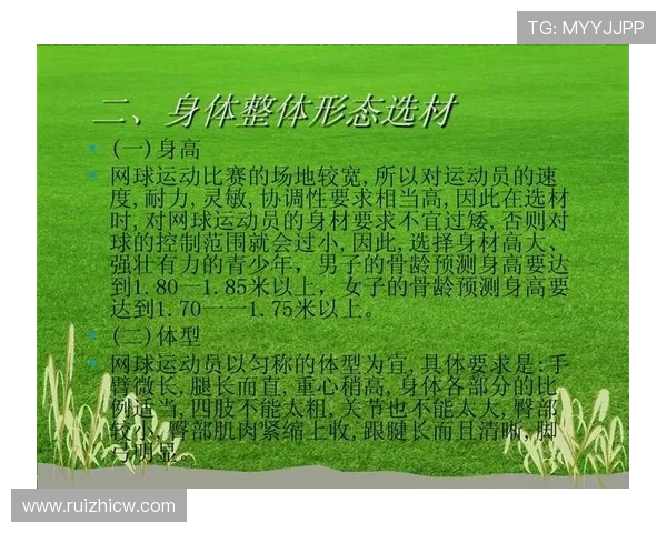 杭州网球队耐力对比深度剖析与训练策略探讨 杭州网球队耐力对比深度剖析与训练策略探讨